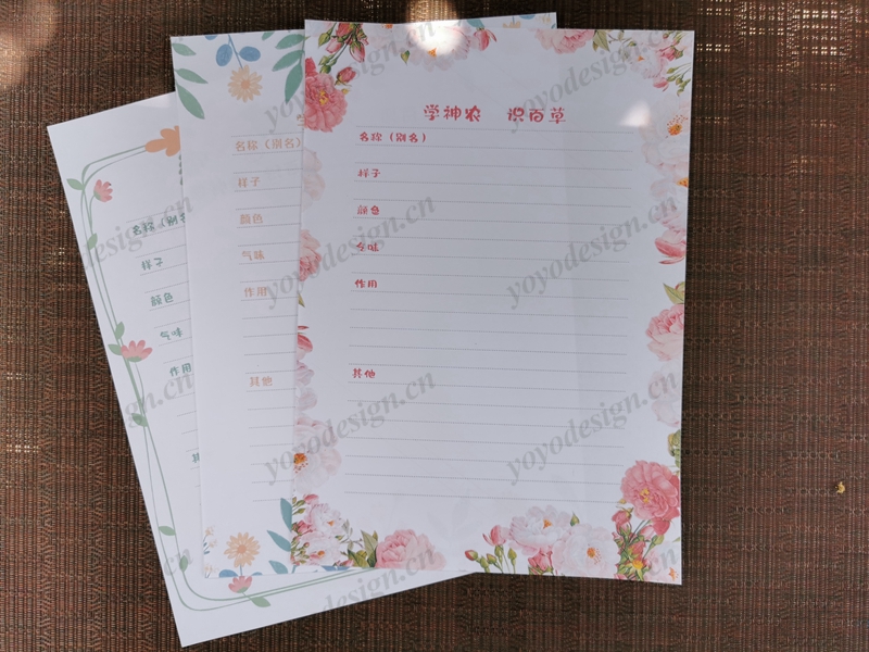 客户定制的实验报告纸